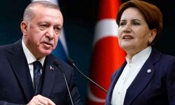 Meral Akşener, Cumhurbaşkanı Erdoğan'la görüşmesini anlattı