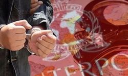İnterpol'ün kırmızı bültenle aradığı uyuşturucu karteli Sammy Ali İstanbul'da yakalandı