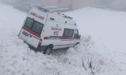 Bingöl'de ambulans şarampole devrildi: Yaralılar var