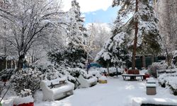 Van, Bitlis ve Hakkari'de 37 yerleşim yerine kardan dolayı ulaşım sağlanamıyor