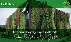 Endemik Peyzaj, Espressolab’da Dikey Bahçeleri Hayata Geçirdi