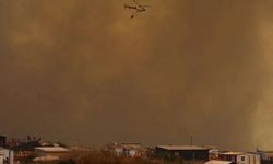 Şili alevlere teslim: Orman yangınlarında ölü sayısı yükseliyor!