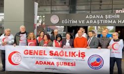 Adana Şehir Hastanesi'nde mobbing iddiası: Arkamda Ömer Çelik var