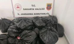 Sofralara gelecekti: Sakarya'da 700 kilogram at ve eşek eti yakalandı