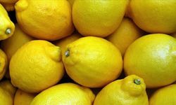 1 kilo limonun fiyatı 40 liraya çıktı