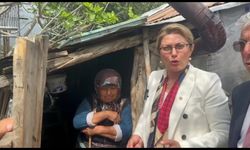 Asu Kaya'dan İktidara çağrı: Deprem bölgesinde insanlar ev bekliyor