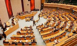 Hollanda Meclisi'nden Türkiye kararı: Kavala ve Demirtaş serbest kalmadan...