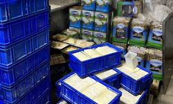 Markette ele geçirilen tarihi geçmiş 20 ton peynir imha edildi