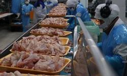 Ticaret Bakanlığı kanatlı et ihracatına kısıtlama getirdi