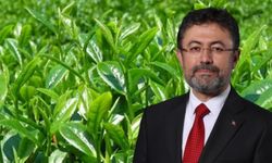 Tarım ve Orman Bakanı Yumaklı'dan yaş çay alım fiyatına ilişkin açıklama