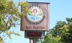 Adana'da termometreler 42 dereceyi gösterdi