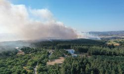 Bursa'da anız yangını: Uludağ Üniversitesi ormanına sıçradı