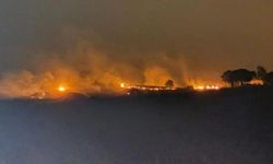 Diyarbakır ve Mardin arasında anız yangını: 5 can kaybı var, 10'u ağır 44 kişi tedavi altında