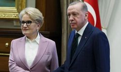 Eski İYİ Parti lideri Meral Akşener’den Erdoğan ile görüşmesine ilişkin açıklama