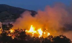 İzmir'de yangın: Müdahale ediliyor, bir mahalle tahliye edildi