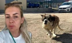 Kuduz köpekleri Ankara'ya getirdiği iddiasıyla tutuklanan Buket Özgünlü Boyacı'ya tahliye