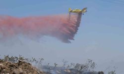 Orman Genel Müdürlüğü: "Ayvalık'taki yangın kontrol altına alındı"