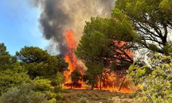Yunanistan yangın kâbusu: Köyler boşaltılıyor
