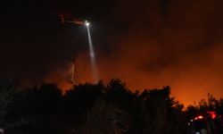 İzmir Gaziemer ve Buca’da çıkan yangının yerleşim yerlerine tehdidi önlendi, Foça’daki yangın kontrol altına alındı