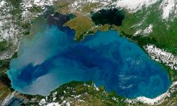 Jeoloji Mühendisi'nden uyarı: Sürekli ısınan Karadeniz ölüyor