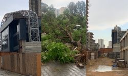 Adana'da sağanak ve fırtına; kule vinç ile ağaçlar devrildi, çatılar ve reklam panoları uçtu