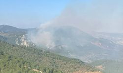 Bergama'daki orman yangını iki gündür sürüyor