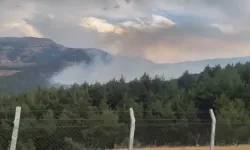 Kahramanmaraş'ta orman yangını