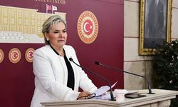 Nimet Özdemir, İYİ Parti'den istifa etti: Vekil sayısı 32'ye düştü