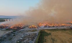 Aydın'daki kağıt fabrikasında çıkan yangına müdahale sürüyor