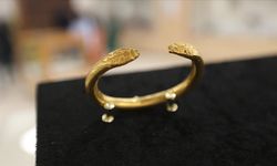 Ani'den 22 yıl önce çıkarılan "yılan başlı" altın bilezikler Kars Arkeoloji ve Etnografya Müzesi'nde sergileniyor