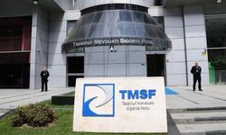 TMSF'nin kayyımlık yaptığı 94 şirketin mülkiyeti Hazine'ye geçti