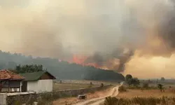 Ankara'da çıkan yangın Bolu'ya sıçradı