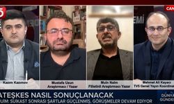 Yahya Sinvar göreve nasıl seçildi? Filistinli Araştırmacı, TV5'te anlattı