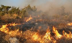 Muğla/Milas'taki orman yangını kontrol altına alındı