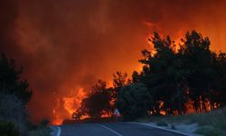 Çanakkale'nin Eceabat ilçesindeki orman yangınına müdahale ediliyor