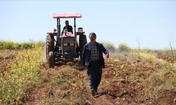 Çiftçiyi mağdur eden yeni yönetmelik: Tarım felaketi kapıda