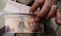 200 liralık banknotlar piyasanın yarısını kapladı!