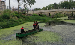 Akış yönü değiştirilen Tunca Nehri'nde yapılan incelemelerde, balığa rastlanmadı