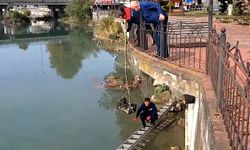 Zonguldak'ta çayda mahsur kalan kedi itfaiye merdiveniyle kurtarıldı