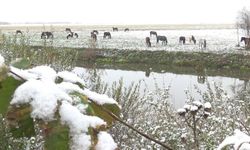 Ardahan beyaza büründü