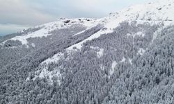 Doğu Karadeniz'de "sarı" uyarı: Sağanak ve kar yağışına dikkat