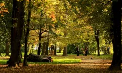 National Geographic takipçileri Saraybosna'yı, "dünyanın en iyisi" olarak belirledi