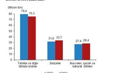 TÜİK: Tarla üretimi azalacak, meyve-sebze üretimi artacak