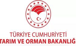 Tek tek açıklandı: İşte sağlığı tehlikeye düşürecek gıdalar listesi! "guvenilirgida.tarimorman.gov.tr"