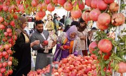 Irak'ın Halepçe şehrinde, 3 gün sürecek geleneksel Nar Festivali başladı