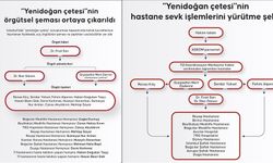 "Yenidoğan çetesi"nin örgütsel şeması ortaya çıkarıldı