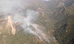 Hatay'daki orman yangınına havadan müdahaleye yeniden başlandı