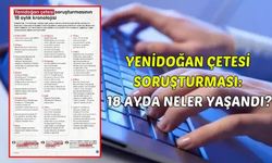 Yenidoğan çetesi soruşturması: 18 ayda neler yaşandı?