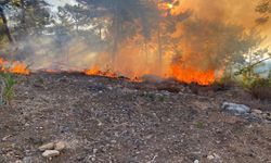 Antalya'da ormana düşen hava aracı yangına neden oldu