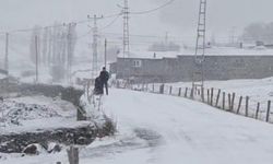 Ardahan'ın yüksek kesimlerinde kar yağışı ve tipi